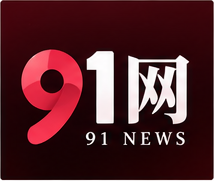 91网品牌标志